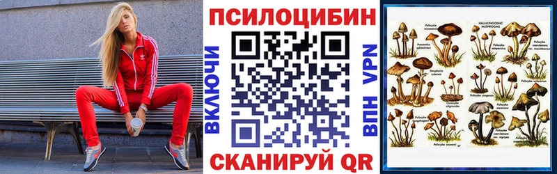 Галлюциногенные грибы Psilocybine cubensis Черемхово