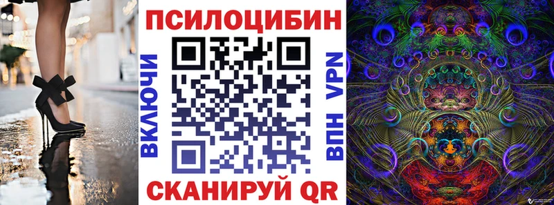 Купить  Черемхово  Псилоцибиновые грибы прущие грибы 